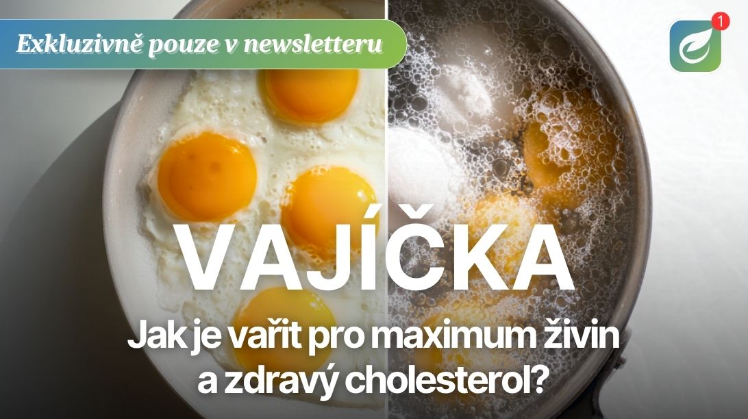 vajicka profibio
